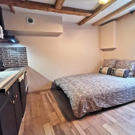 Le Vieux Tacot Avec Garage Appartement *